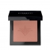 Oogschaduw Stendhal Highlighter Nº 302 (5,5 g)