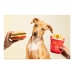 Jouet pour chien Gloria Hamburdog 14 x 6 cm Hamburgers