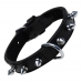 Dog collar Gloria Black Spikes (40 cm)