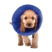 Guler elisabetan pentru câini KVP EZ Soft Albastru (9-25 cm)
