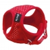 Hondentuigje Gloria Punten 17-22 cm Rood Maat XS