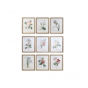 Quadro DKD Home Decor 55 x 2 x 70 cm Shabby Chic Piante botaniche (6 Pezzi)