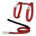 Kattentuigje Red Dingo Style Rood Ster Wit Riem