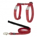 Kattentuigje Red Dingo Style Rood Riem Pootafdrukken