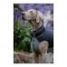 Cappotto per Cani Red Dingo Puffer Nero/Grigio 30 cm