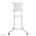 Trolley / Tralle Neomounts NS-M1250WHITE       