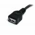 Kabel USB Startech USBEXTAA6BK          USB A Czarny