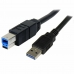 Cabo USB A para USB B Startech USB3SAB3MBK 3 m Preto