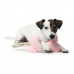 Jouet pour chien Hunter Salima Jouet Peluche Avec corde Rose Chiots