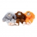 Minkštas žaislas šunims Gloria Kikazaru 11 x 44 x 45 cm Beždžionė Oranžinė