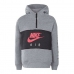 Felpa con Cappuccio Bambino Nike 342S-GEH Grigio