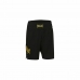 Pantaloni Scurți Sport pentru Bărbați Everlast Copen Woven Negru