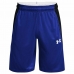 Calções de Desporto para Homem Under Armour Baseline Azul