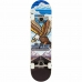 Skate 180 Complete Tony Hawk  Outrun  Azul 7.75