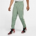 Spodnie dla dorosłych Jordan Jumpman Flight  Nike Unisex Kwarcowe tygrysie oko