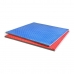 Mat AFW Rood Blauw (100 x 100 x 2,6 cm)