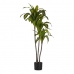 Decoratieve plant Breed mes Groen Plastic (70 x 120 x 70 cm)