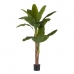 Decorative Plant Banana plant Green Plastic (80 x 150 x 80 cm)