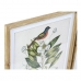 Cadre DKD Home Decor Bird 55 x 2,5 x 70 cm Tropical Oiseaux (4 Pièces)