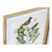 Картина DKD Home Decor Bird 55 x 2,5 x 70 cm Тропически Птици (4 Части)