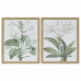 Tablou DKD Home Decor 43 x 3 x 53 cm Plante botanice (2 Unități)