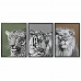 Maleri DKD Home Decor 67 x 3 x 93 cm Kolonistil Jungle (3 Dele)