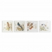 Maľba DKD Home Decor 60 x 2,5 x 60 cm Vták Shabby Chic (4 Kusy)