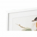 Maleri DKD Home Decor Fugl Shabby Chic 60 x 2,5 x 60 cm (4 enheder)