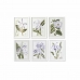 Cadre DKD Home Decor 40 x 2 x 54 cm Fleurs Shabby Chic (6 Pièces)