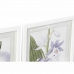 Kép DKD Home Decor 40 x 2 x 54 cm цветя Shabby Chic (6 Darabok)