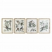 Cuadro DKD Home Decor 50 x 2,5 x 65 cm Shabby Chic Plantas botánicas (4 Piezas)