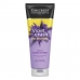 Après-shampooing Violet Crush John Frieda Violet Crush 250 ml