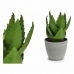 Decoratieve plant 8430852770608 Grijs Groen Plastic