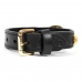 Hundehalsband Gloria Duna Schwarz Gold 35 cm (35 x 2 cm)