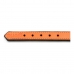 Dog collar Gloria Padded Orange (35 x 1,5 cm)