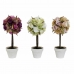 Dekorativ Plante DKD Home Decor Plast (3 Deler)