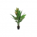 Dekoratyvinis augalas DKD Home Decor PVC Plastmasinis 100 x 100 x 145 cm
