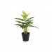 Decoratieve plant DKD Home Decor PVC Polypropyleen 25 x 25 x 30 cm