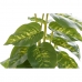 Διακοσμητικό Φυτό DKD Home Decor PVC πολυπροπυλένιο 20 x 20 x 30 cm