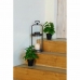 Okrasná rastlina DKD Home Decor PVC Polypropylén 20 x 20 x 30 cm