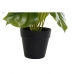 Decoratieve plant DKD Home Decor PVC Polypropyleen 20 x 20 x 30 cm