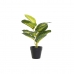 Decoratieve plant DKD Home Decor PVC Polypropyleen 25 x 25 x 30 cm