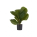 Decoratieve plant 9,5 x 42 x 9,5 cm Zwart Groen Plastic