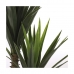 Koristekasvi Mica Decorations Yucca (120 x 60 cm)