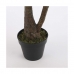 Dekorativ plante Mica Decorations Yucca (120 x 60 cm)