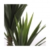 Dekorativ plante Mica Decorations Yucca (120 x 60 cm)