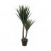 Pianta Decorativa Mica Decorations Yucca (120 x 60 cm)