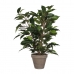 Διακοσμητικό Φυτό Mica Decorations 40 x 30 cm Κεραμικά Πράσινο PVC Ficus