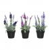 Pianta Decorativa 25 cm PVC Lavanda