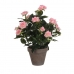 Dekoratiivne Taim Mica Decorations Rosal Keraamiline PVC